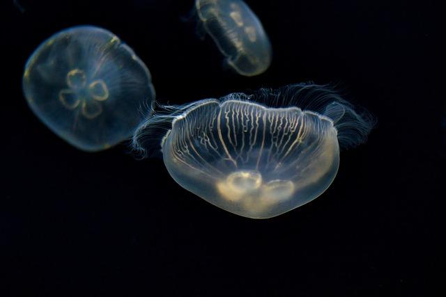 Osobní život Petra Čecha po kariéře