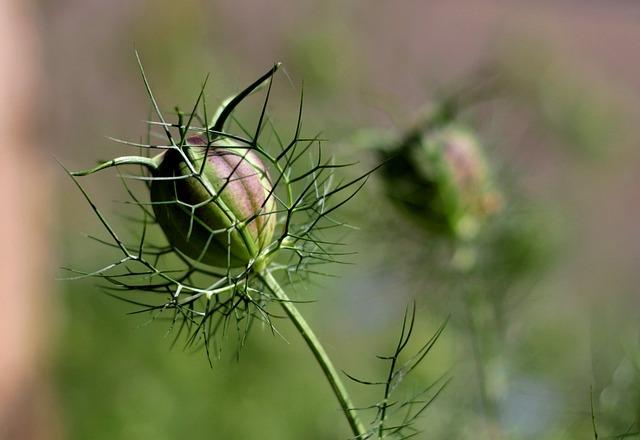 Co​ je HET a jakou ‌roli​ hraje jako ​sponzor fotbalové⁤ ligy