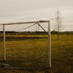 Nejvíce vstřelených gólů ve fotbale Čech: Kdo je opravdovým střelcem?