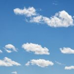 Kolik stojí sálovky z modrou podražkou: Vyplatí se investice?