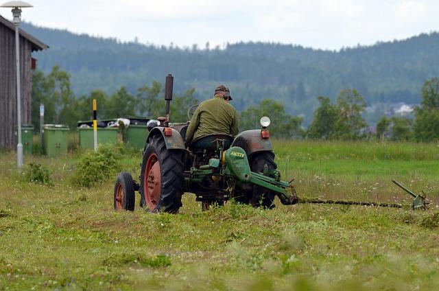 Jak častěji sečení ovlivňuje zdraví trávy